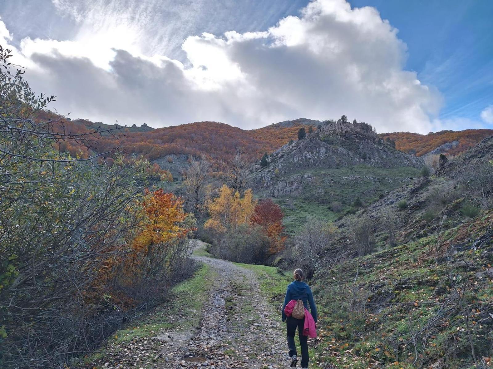Hotel Rural Valle Del Tuejar Taranilla المظهر الخارجي الصورة